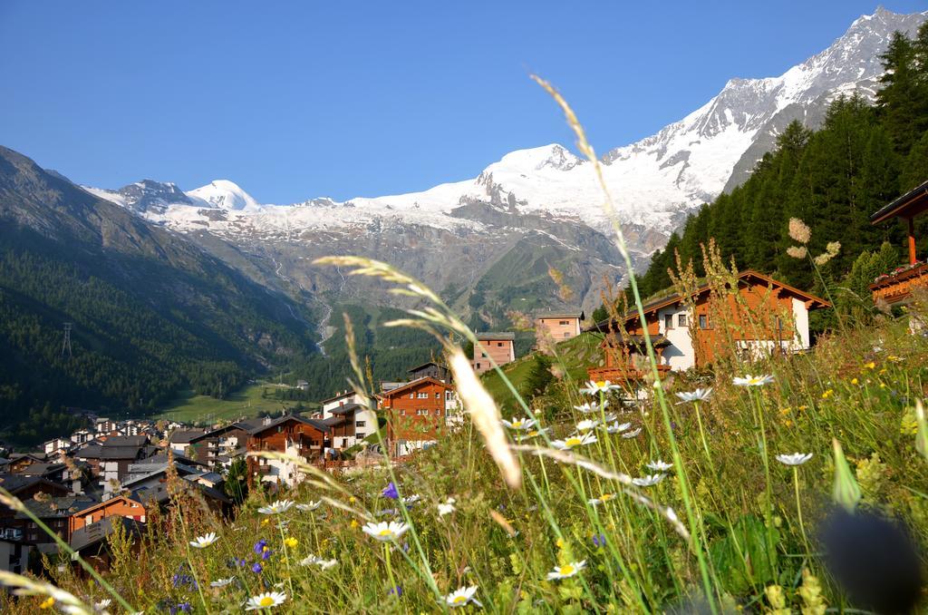 Alpenhof Apartment Saas-Fee Exterior photo